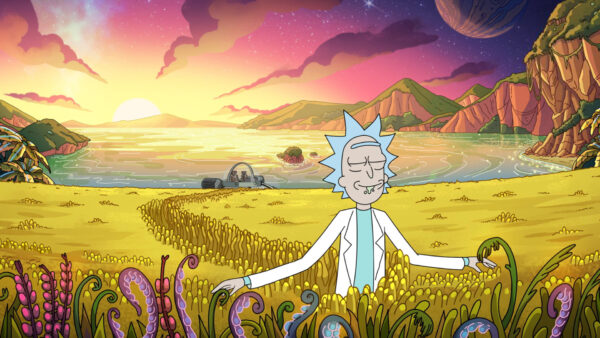 Wallpaper Movies, Near, Morty, Sanchez, Background, Plants, Sunrise, Show, Desktop, Rick, And, With