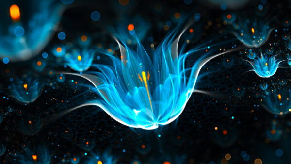Wallpaper Fractal, Abstract, Desktop