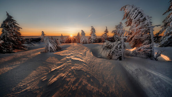 Wallpaper Mountain, Desktop, Trees, Covered, Winter, Blue, During, And, Sunrise, Under, With, Snow, Sky