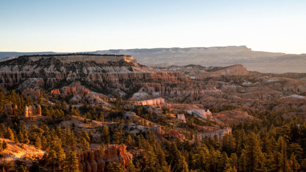 Wallpaper Desktop, Canyon, Trees, Forest, Mobile, Nature, Rocks