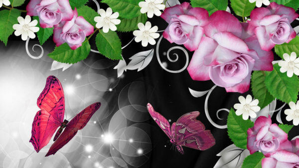 Wallpaper White, Pink, Butterfly, With, Flowers