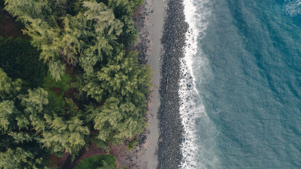 Wallpaper Beach, Aerial, Forest, Stones, Trees, Ocean, Waves, Sand, Green, View