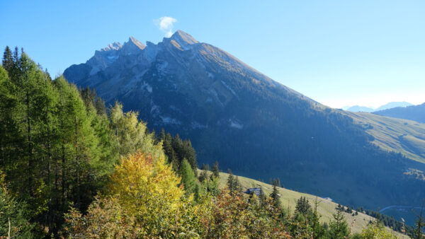 Wallpaper Trees, Blue, Sky, Background, Beautiful, View, Autumn, Mountain, Colorful, Nature