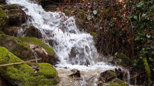 Wallpaper Waterfall, Algae, Nature, Covered, Rocks, Green