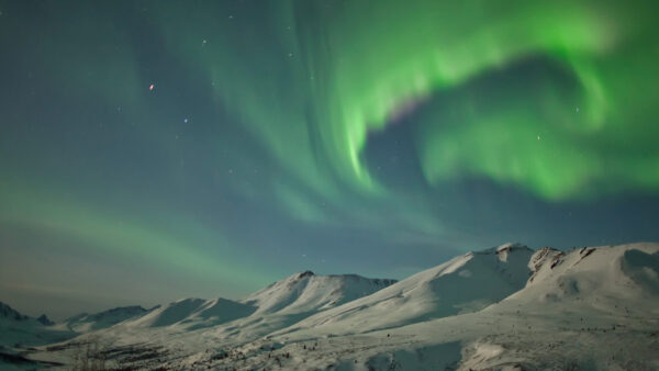 Wallpaper Aurora, Winter, Sky, Nature, Light, Landscape, Snow, Borealis