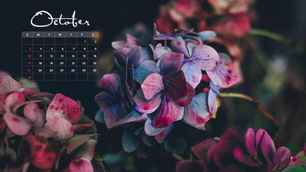 Wallpaper Purple, Black, Flowers, Background, Calendar, October, 2021