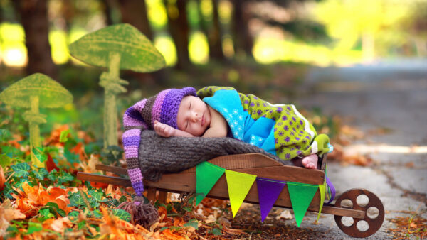 Wallpaper Background, Covering, Sleeping, Cart, NewBorn, Child, Wood, Cute, Blur, With, Cloth, Colorful