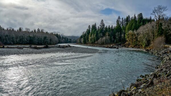 Wallpaper Under, River, Sky, Mobile, Desktop, Blue, Forest, Trees, Clouds, Nature, Wood