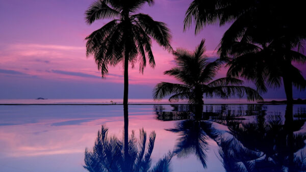 Wallpaper Sky, Cloudy, Trees, Under, Coconut, Desktop, Nature, Reflection, Purple, Water