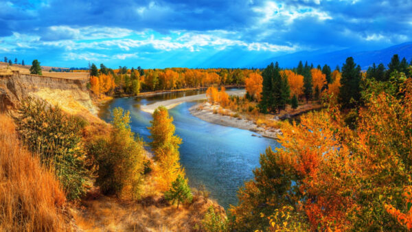 Wallpaper Sky, Green, Nature, Blue, Under, Yellow, Trees, Desktop, Fall, River, Mobile, Between, Leafed