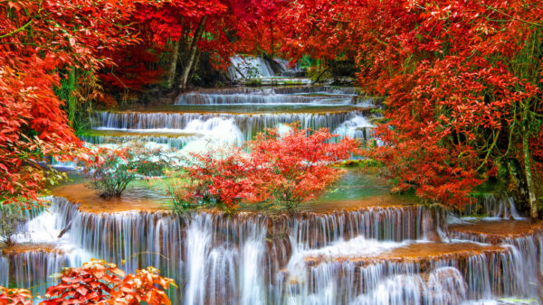 Wallpaper Nature, Between, Red, Waterfall, Leafed, Autumn, Jungle, Mobile, Desktop, Stream, Trees