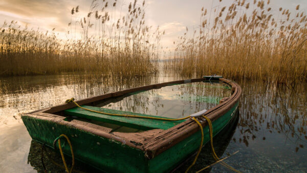 Wallpaper And, Clouds, Desktop, With, Background, Plants, Nature, Lake, Sail, Water, Boat, Sky