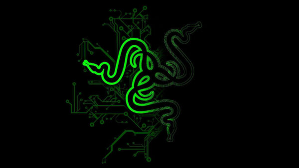 Wallpaper Desktop, Black, Background, Logo, Razer, Green