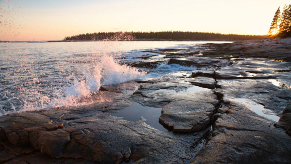 Wallpaper Mobile, Desktop, Sunbeam, Landscape, Forest, Trees, With, Waves, View, Rocks, Covered, Natures