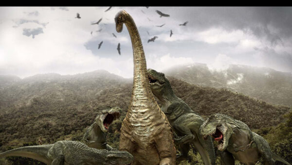 Wallpaper Brontosaurus, Desktop, Dinosaur, Attack, Tyrannosaurus