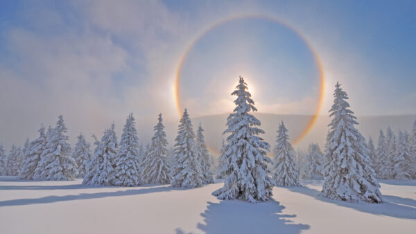 Wallpaper Winter, Spruce, Round, Snow, Mountains, Trees, Sunlight, Blue, Sky, Background, Desktop, Mobile, With