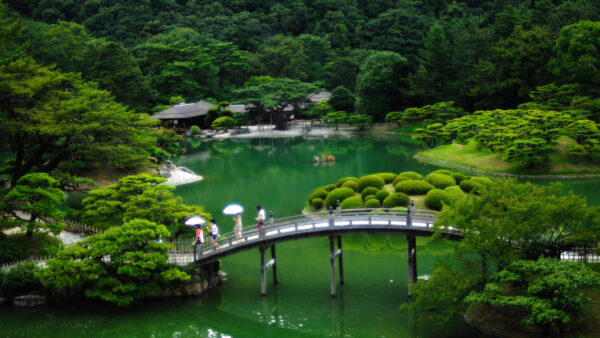 Wallpaper Reflection, Desktop, Water, People, Mobile, Between, Aerial, Bridge, Park, Beautiful, Trees, Nature, View