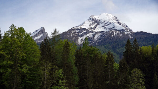 Wallpaper Desktop, Covered, Background, Trees, White, Forest, Under, Blue, Nature, Mountain, Mobile, Sky
