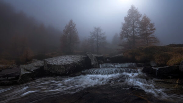 Wallpaper Desktop, Between, Nature, Fog, With, And, Trees, Stream, Stones, Water