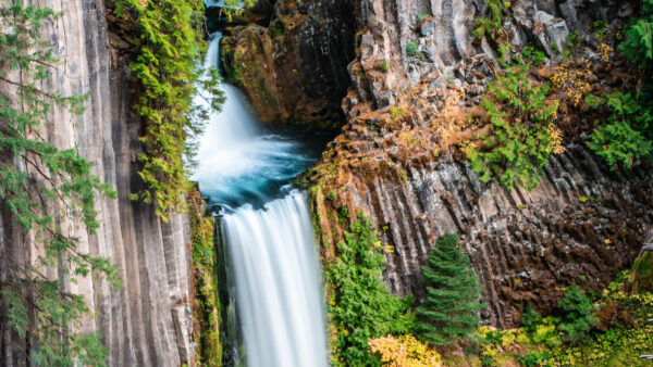 Wallpaper Trees, Desktop, Green, Mobile, Nature, Waterfall, Rocks, Plants, Background