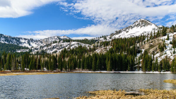 Wallpaper Trees, Mountains, Lake, Desktop, Forest, Scenery, Snow, Covered, Near, Mobile, Nature