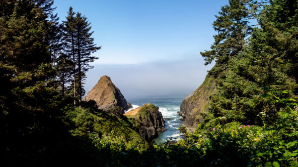 Wallpaper Trees, Nature, Green, Background, Sky, White, Desktop, Blue, Mobile, Plants, Waves, View, Rocks, Ocean, Bushes, Clouds, Landscape