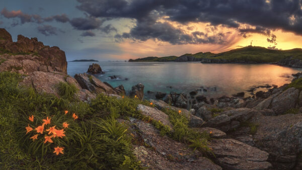 Wallpaper Sunset, Sky, Flowers, Desktop, Lake, Around, And, Nature, During, Rocks