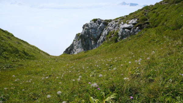 Wallpaper Nature, Rocks, Valley, Background, Desktop, Greenery, Dandelion, Mobile, Sky, Blue