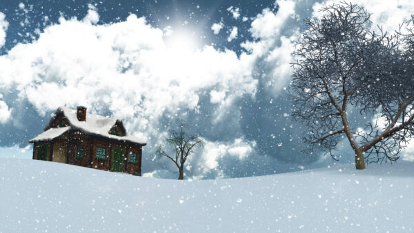 Wallpaper House, Tree, Snowflake, And, Snowfall, Desktop