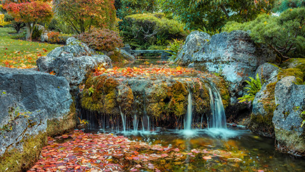 Wallpaper Stream, Garden, Covered, Trees, Background, Bushes, Rocks, Algae, Dry, Leaves, Waterfall, Colorful