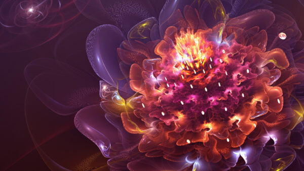 Wallpaper Art, Fractal, Flower, Glittering, Abstract