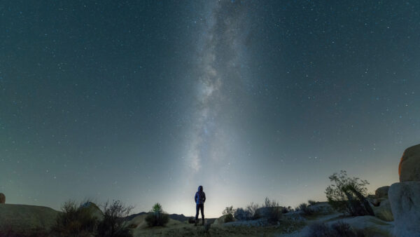 Wallpaper Alone, Under, Head, Sky, T-Shirt, Standing, Man, Starry, Covered