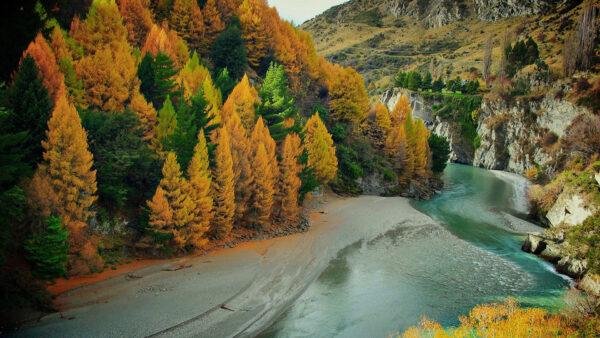 Wallpaper Plants, River, Green, Trees, Mountains, Autumn, Fall, Bushes, Orange, Yellow, Sand