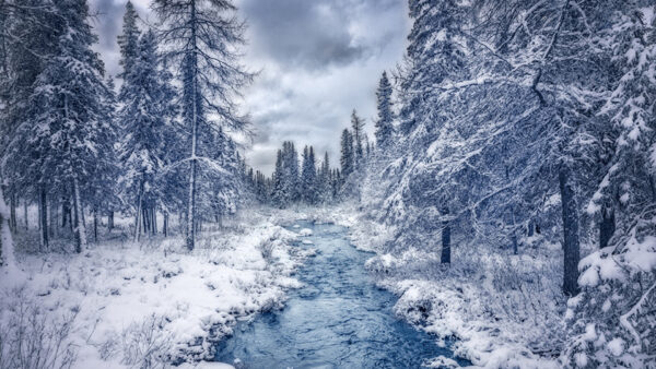 Wallpaper Frozen, Sky, Trees, Green, White, River, Winter, Stream, Between, Clouds, Under, Field, Grass