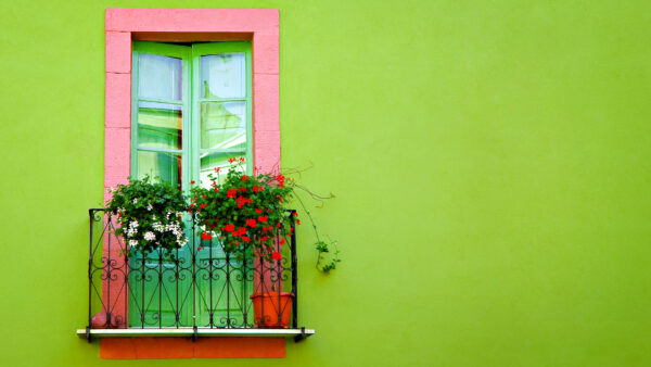 Wallpaper Green, WALL, Window