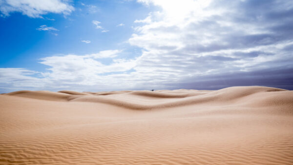 Wallpaper Landscape, Desert