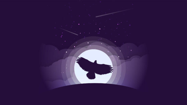 Wallpaper Minimal, Moon, Eagle, Purple