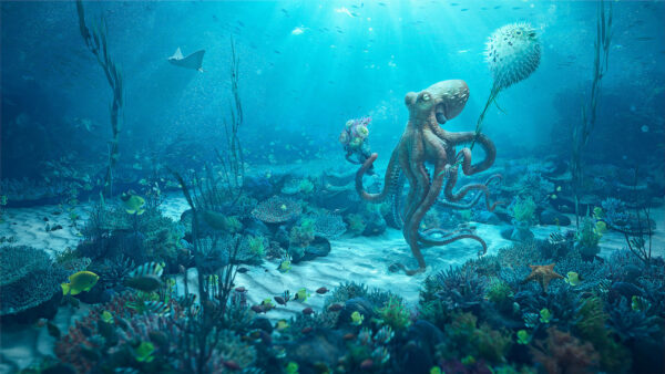 Wallpaper Date, Octopus