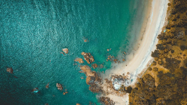 Wallpaper Beach, View, Aerial, Ocean