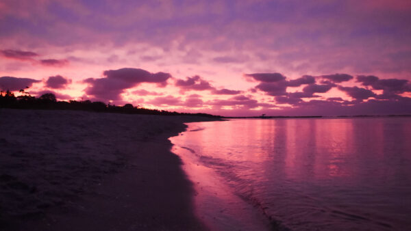 Wallpaper Beach, Mobile, Nature, Reflection, Sand, Purple, Sky, Clouds, Desktop