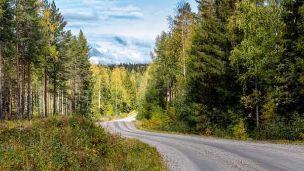 Wallpaper Turn, Between, Green, Mobile, Under, Trees, Autumn, Blue, Sky, Forest, Desktop, Road, Yellow