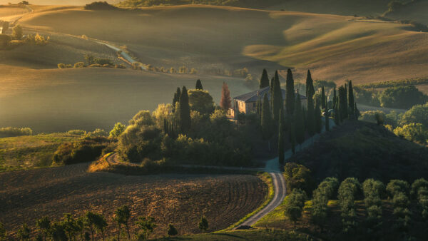 Wallpaper Scenery, Trees, Field, House, Road, Green, Tuscany, Nature