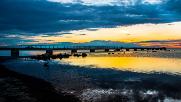 Wallpaper Under, Black, Desktop, Mobile, Ocean, Pier, Water, Yellow, Clouds, Nature, Reflection, Sky, Bridge