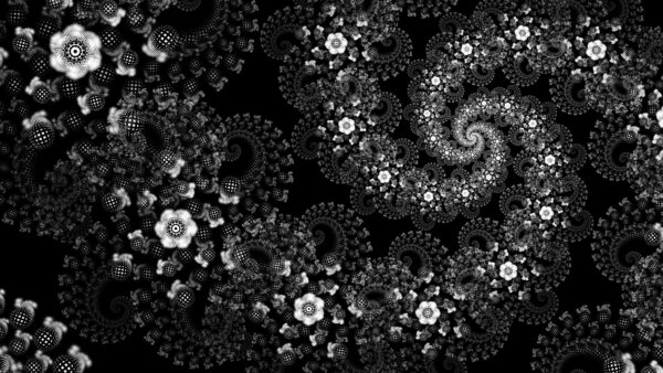 Wallpaper Pattern, Abstraction, Black, Desktop, Mobile, Spiral, Art, White, Flowers, Swirl, Abstract