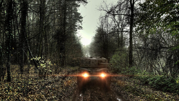 Wallpaper With, Tank, Trees, World, Between, Tanks, Desktop, Games, Headlights