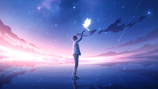 Wallpaper Stars, Blue, Boy, Pigeon, Bird, Sky, Anime