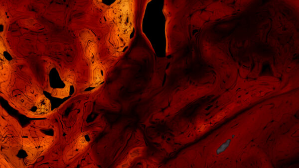 Wallpaper Red, Abstraction, Stains, Abstract, Black