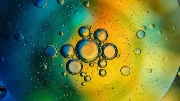 Wallpaper Water, Oil, Abstraction, Abstract, Circles, Bubbles, Colors, Mixed