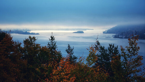 Wallpaper View, Landscape, Nature, Blue, Colorful, Sky, Ocean, Island, Under, Fog, Leaves