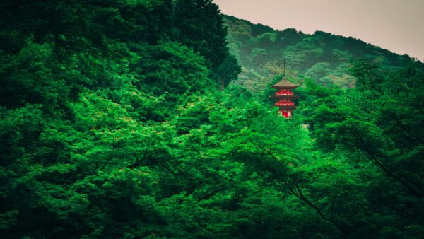 Wallpaper Surrounded, Bushes, Forest, Landscape, Desktop, Trees, Mobile, Nature, Pagoda, Greenery, View